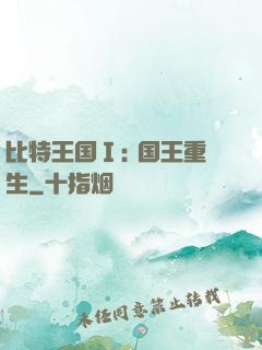 比特王国Ⅰ: 国王重生
